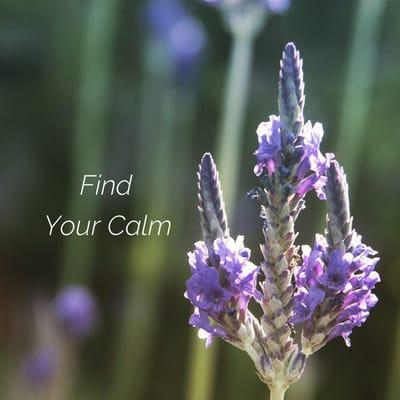 Stressed out?? Now is a great time to find your calm. Free aromatherapy with every massage.