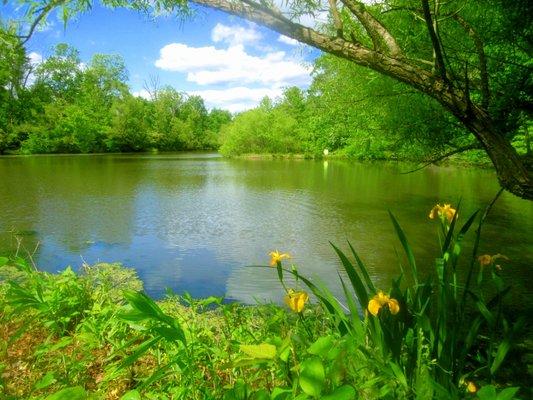 Another view of the lake