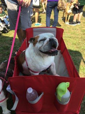 Cooling off in the shade!!!