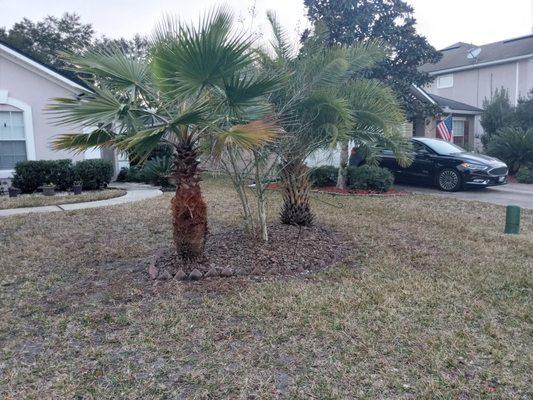 During the winter time even if the grass does not need to be cut.  They will take care of your palms and crepe myrtles and other items.