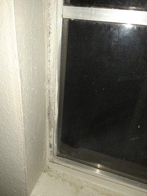 MOLD found beside my bedroom window that me & my family were sleeping beside that made me physically sick. Management didn't care. BEWARE