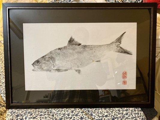 Gyotaku print by Dwight Hwang of an American Shad