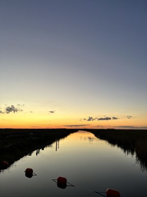 Atlantic Everglades Levee