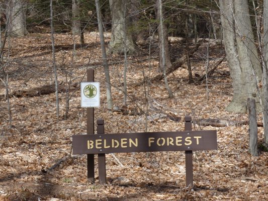 Belden Forest