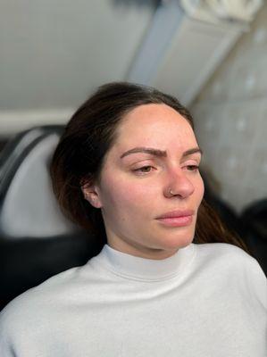 Microbladed Brow Transformation