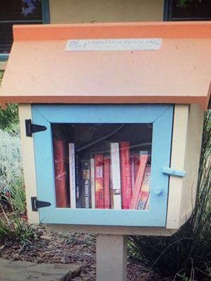 Colorful little library