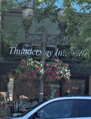 Thundersley Interiors Retail Store Front