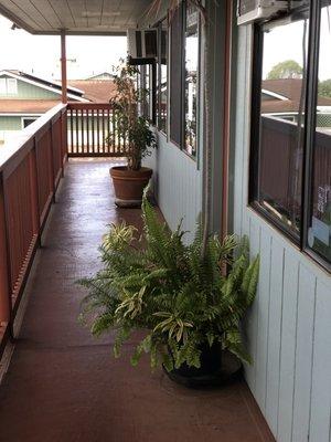 Outside of the Pukalani Chiropractic Office, located on the second floor of the Kooi Building