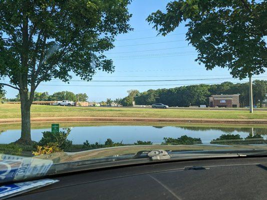 Pond with walking trail just outside the lab area.