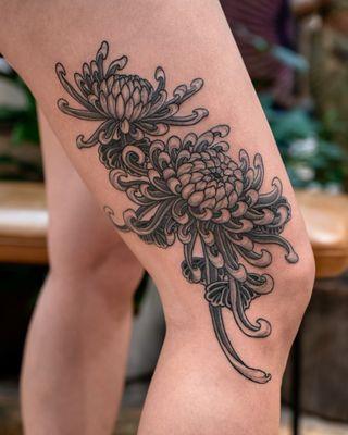 chrysanthemum by Matt Leibo