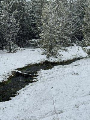 Snow in Yellowstone in late May, 2024!