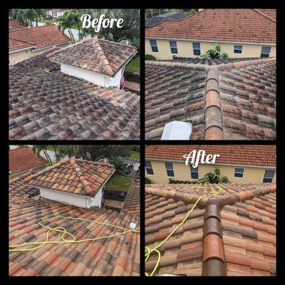 soft was roof cleaning