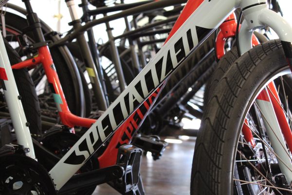 Specialized Dealer