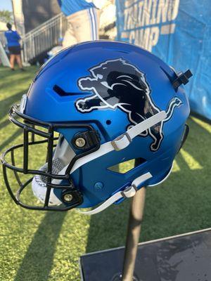 Detroit Lions