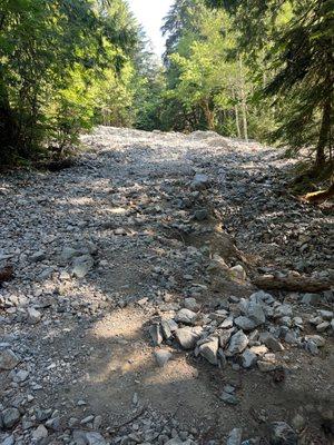 Mount Baker-Snoqualmie National Forest