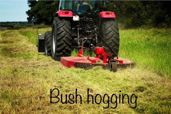 We provide bush hogging service. No job to big or to small!