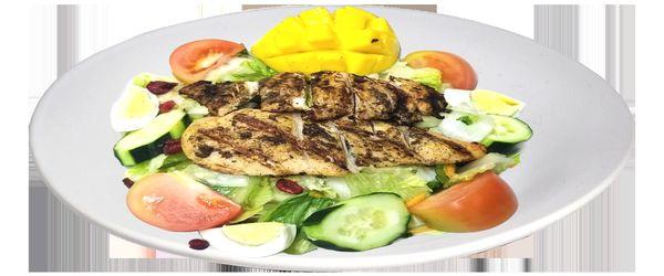 Grilled chicken salad