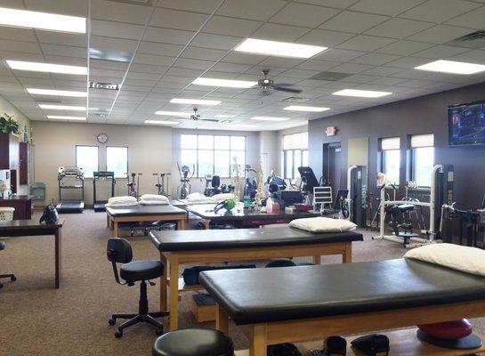 Large Therapy Gym