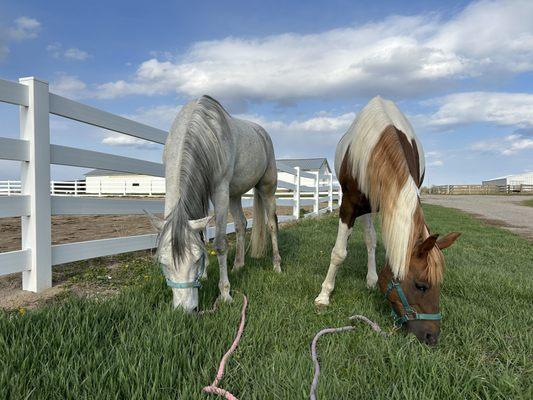 Elkhorn Equestrian Center