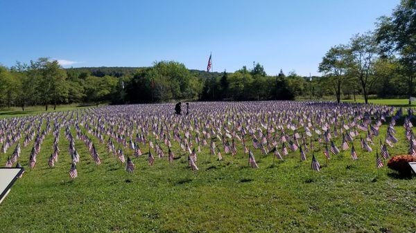 Field of Heroes Flag Display