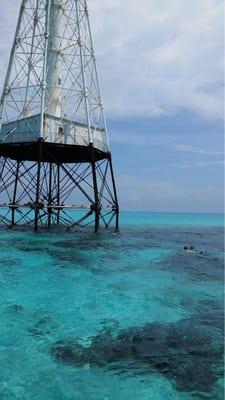 Snorkeling at Alligator Reef Light House