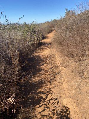 Rancho La Costa Preserve