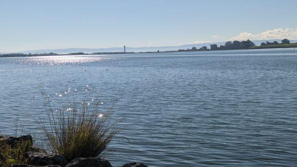 San Leandro Bay