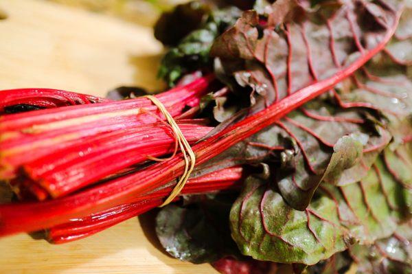 Look at this gorgeous Red Swiss Chard!