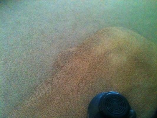 Restoration carpet cleaning with the RX-20