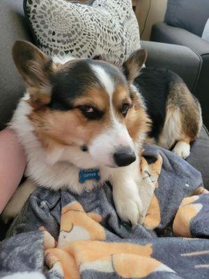 The boy looking dapper with his fresh haircut!