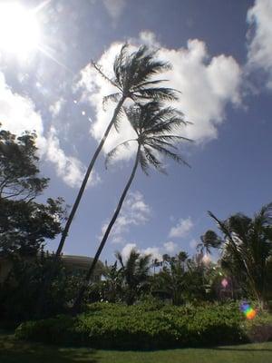 Private Rehab in Beachfront Hawaii