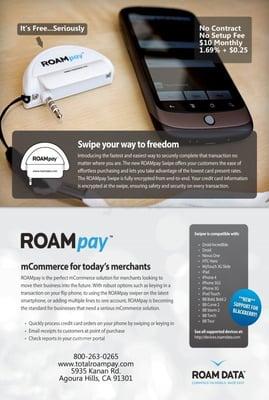 ROAMpay Flyer