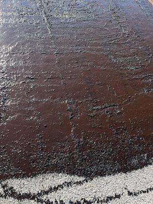 Hot tar and chip seal asphalt