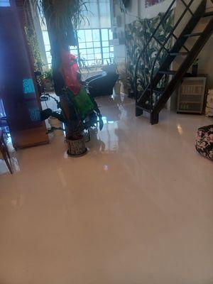 Solid epoxy commercial building color white