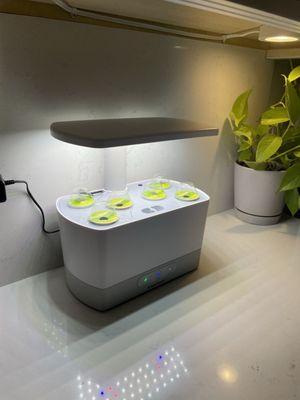 Aerogarden  $90 on Amazon Better pricing at pops shop!