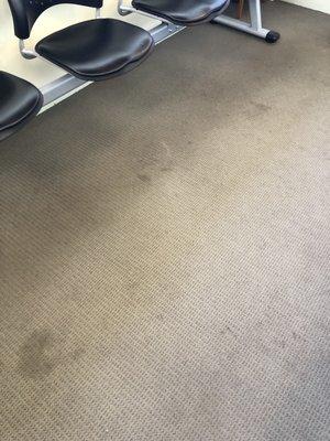 Stains smells and definitely not vacuumed