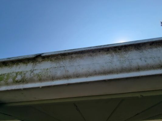 Cleaning the Face of the gutters in Edmonds WA.