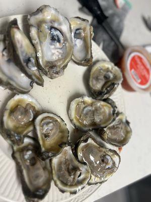 Oysters