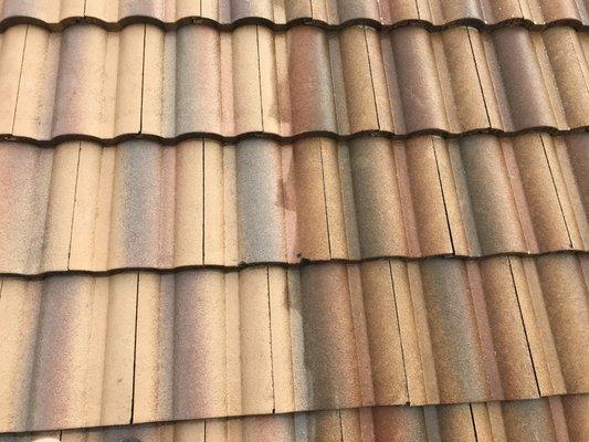 Tile Roof Cleaning - Before (Right) and After (Left)