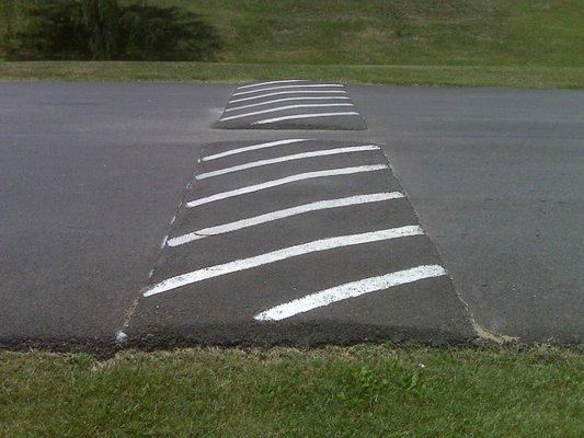 Traffic Calming Devices