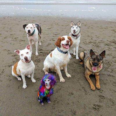 Beach Play Group