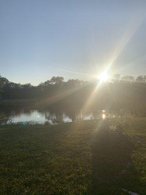 Sunset over the fishing lakes