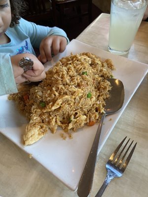 Chicken fried rice