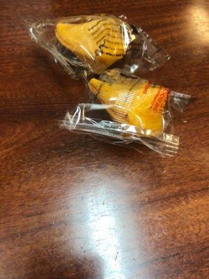 Fortune Cookies