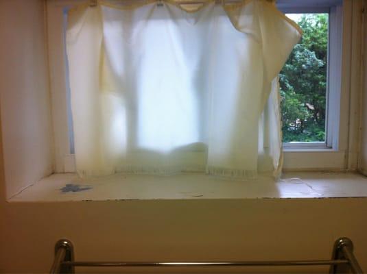 Bathroom window