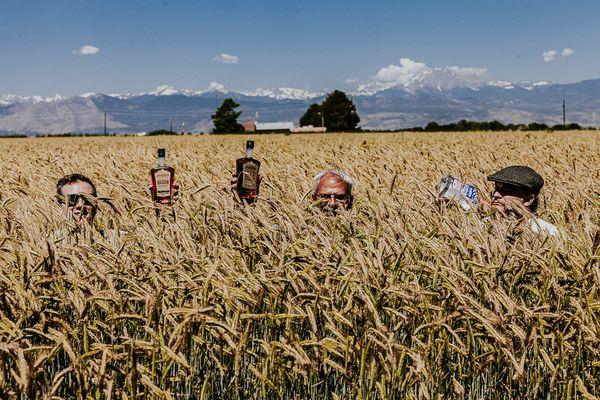 Local grains