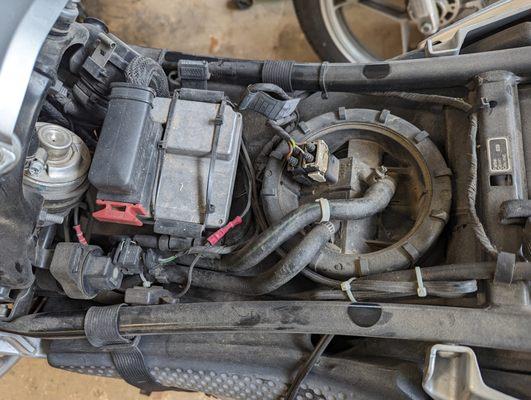 Photo from when I was initially trying to figure out why the bike died showing the top of the fuel pump assembly dry