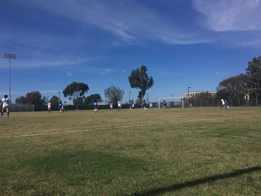 UCSD Soccer Fields