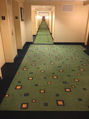 Eco Green carpet cleaning, Anaheim