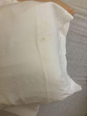 How? Feces on the pillow. How?